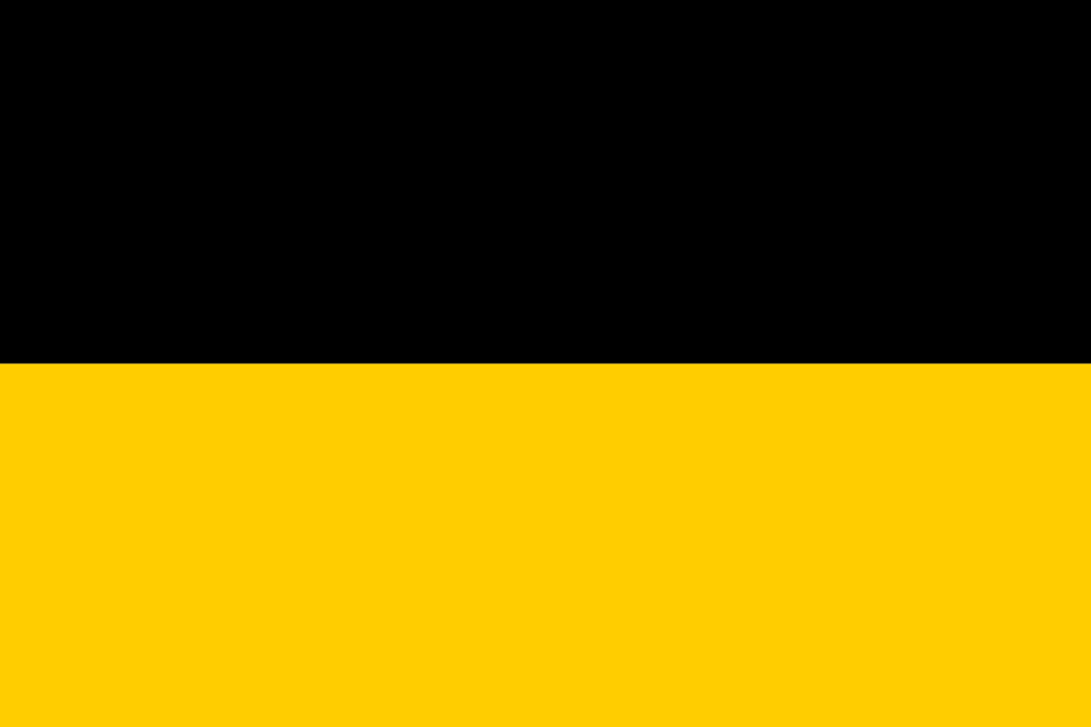 The Flag of the Austrian Empire (1772 -1917)