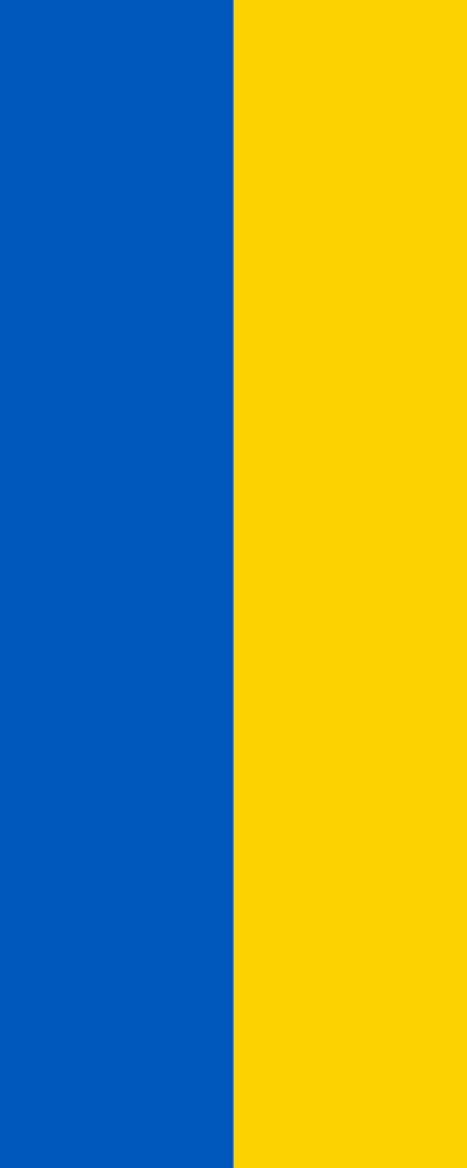The Hanging Ukrainian Flag (1992 to Present Day)